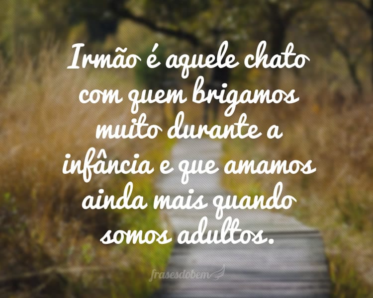 Irmão é aquele chato com quem brigamos muito durante a infância e que amamos ainda mais quando somos adultos.