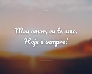 Meu amor, eu te amo. Hoje e sempre!