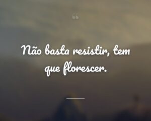 Não basta resistir, tem que florescer.