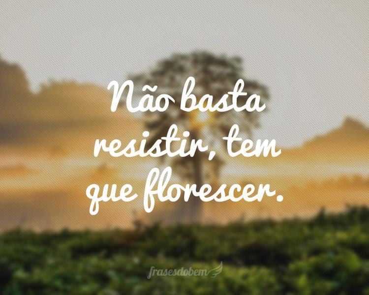 Não basta resistir, tem que florescer.