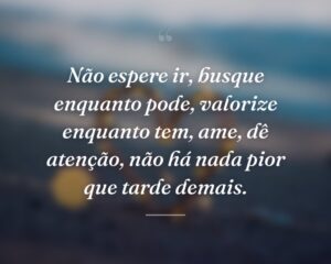 Não espere ir, busque enquanto pode, valorize enquanto tem, ame, dê atenção, não há nada pior que tarde demais.