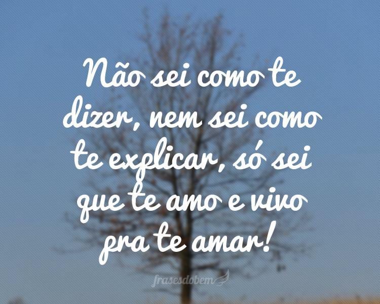 Não sei como te dizer, nem sei como te explicar, só sei que te amo e vivo pra te amar!