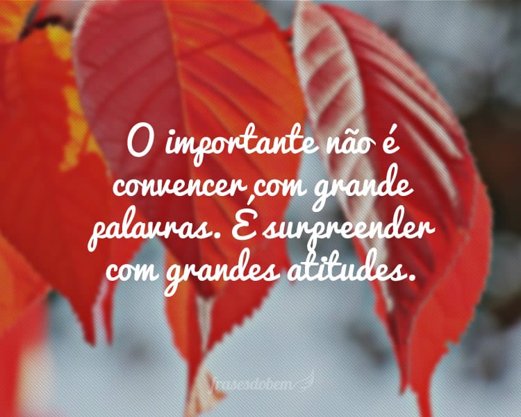 O importante não é convencer com grande palavras. É surpreender com grandes atitudes.