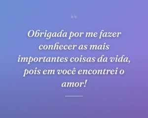 Obrigada por me fazer conhecer as mais importantes coisas da vida, pois em você encontrei o amor!
