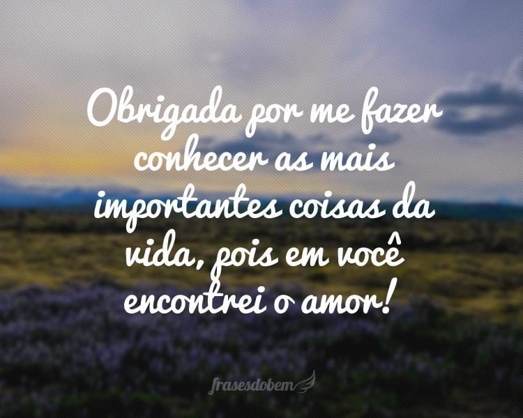 Obrigada por me fazer conhecer as mais importantes coisas da vida, pois em você encontrei o amor!