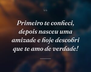 Primeiro te conheci, depois nasceu uma amizade e hoje descobri que te amo de verdade!
