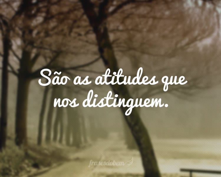 São as atitudes que nos distinguem.