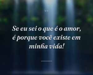Se eu sei o que é o amor, é porque você existe em minha vida!
