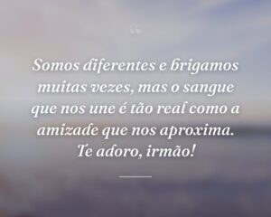 Somos diferentes e brigamos muitas vezes, mas o sangue que nos une é tão real como a amizade que nos aproxima. Te adoro, irmão!