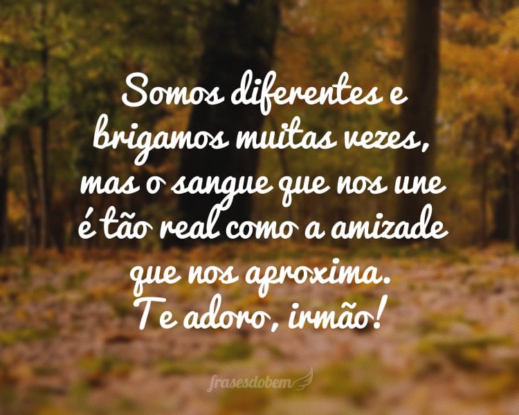 Somos diferentes e brigamos muitas vezes, mas o sangue que nos une é tão real como a amizade que nos aproxima. Te adoro, irmão!