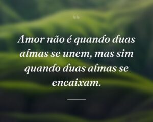 Amor não é quando duas almas se unem, mas sim quando duas almas se encaixam.