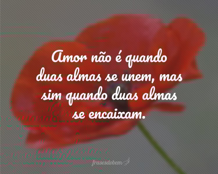Amor não é quando duas almas se unem, mas sim quando duas almas se encaixam.