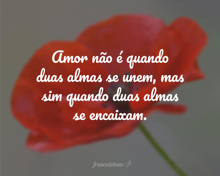 Amor não é quando duas almas se unem, mas sim quando duas almas se encaixam.