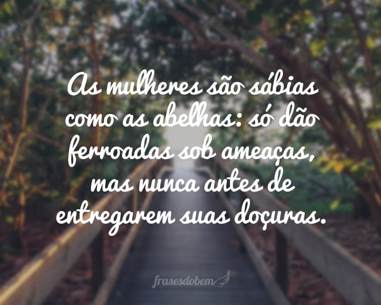 As mulheres são sábias como as abelhas: só dão ferroadas sob ameaças, mas nunca antes de entregarem suas doçuras.