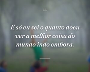 E só eu sei o quanto doeu ver a melhor coisa do mundo indo embora.