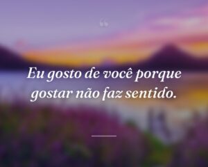 Eu gosto de você porque gostar não faz sentido.