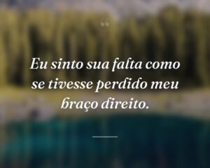 Eu sinto sua falta como se tivesse perdido meu braço direito.