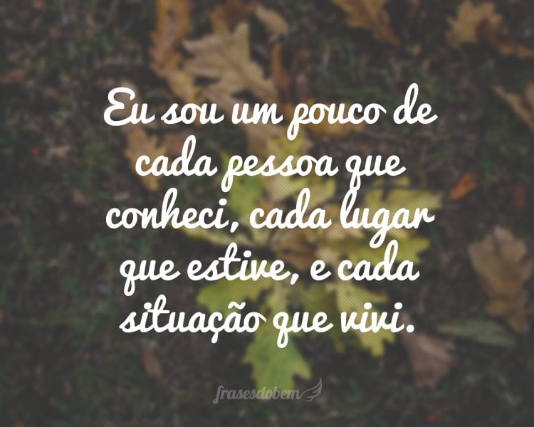 Eu sou um pouco de cada pessoa que conheci, cada lugar que estive, e cada situação que vivi.