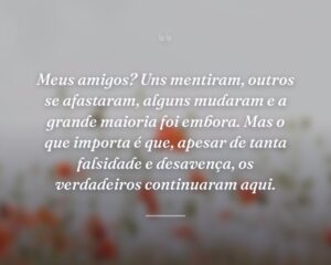 Meus amigos? Uns mentiram, outros se afastaram, alguns mudaram e a grande maioria foi embora. Mas o que importa é que, apesar de tanta falsidade e desavença, os verdadeiros continuaram aqui.