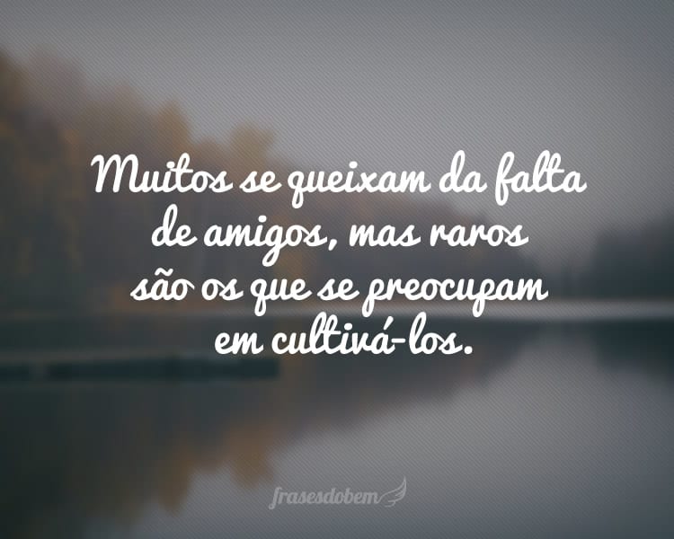 Muitos se queixam da falta de amigos, mas raros são os que se preocupam em cultivá-los.