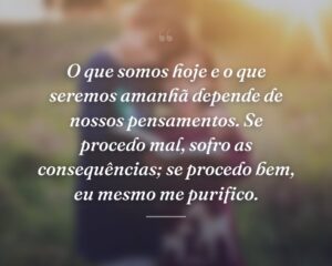 O que somos hoje e o que seremos amanhã depende de nossos pensamentos. Se procedo mal, sofro as consequências; se procedo bem, eu mesmo me purifico.