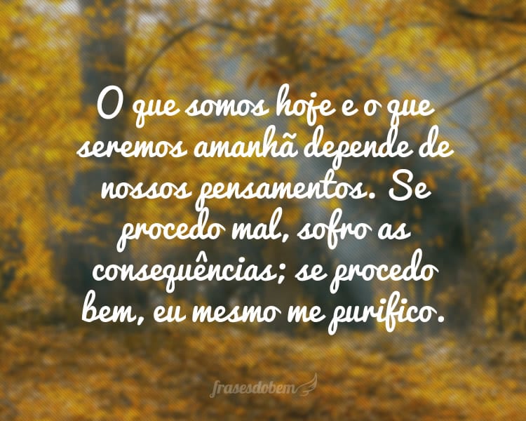 O que somos hoje e o que seremos amanhã depende de nossos pensamentos. Se procedo mal, sofro as consequências; se procedo bem, eu mesmo me purifico.