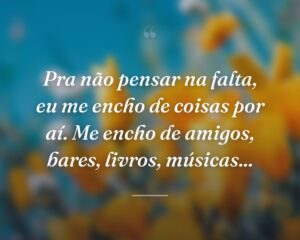 Pra não pensar na falta, eu me encho de coisas por aí. Me encho de amigos, bares, livros, músicas...