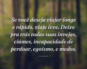 Se você deseja viajar longe e rápido, viaje leve. Deixe pra trás todas suas invejas, ciúmes, incapacidade de perdoar, egoísmo, e medos.