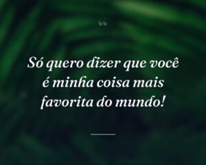 Só quero dizer que você é minha coisa mais favorita do mundo!