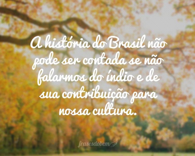 A história do Brasil não pode ser contada se não falarmos do índio e de sua contribuição para nossa cultura.