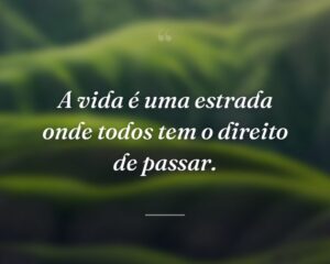 A vida é uma estrada onde todos tem o direito de passar.