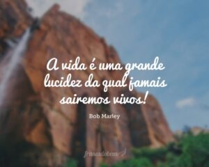 A vida é uma grande lucidez da qual jamais sairemos vivos!