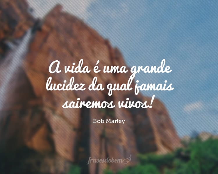 A vida é uma grande lucidez da qual jamais sairemos vivos!