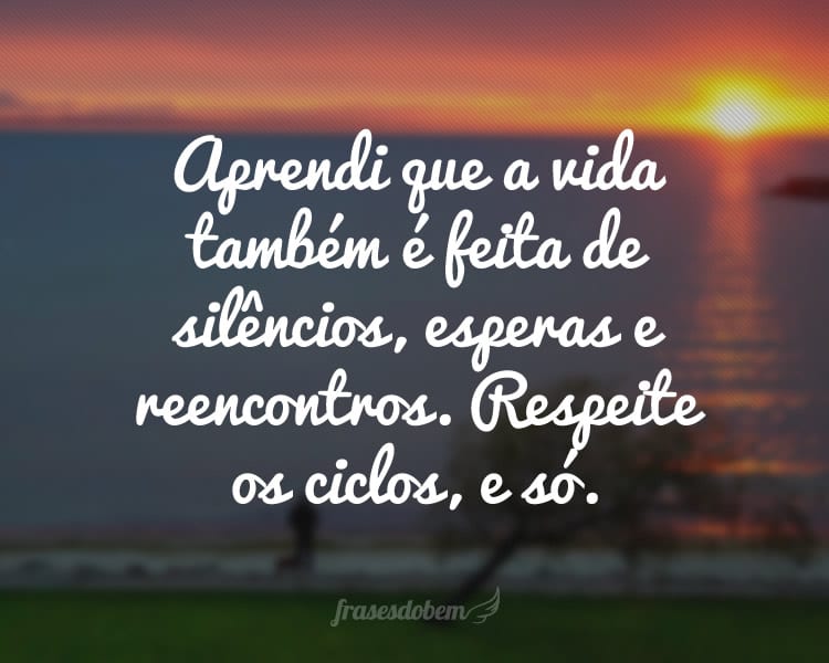 Aprendi que a vida também é feita de silêncios, esperas e reencontros. Respeite os ciclos, e só.