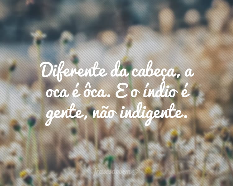 Diferente da cabeça, a oca é ôca. E o índio é gente, não indigente.