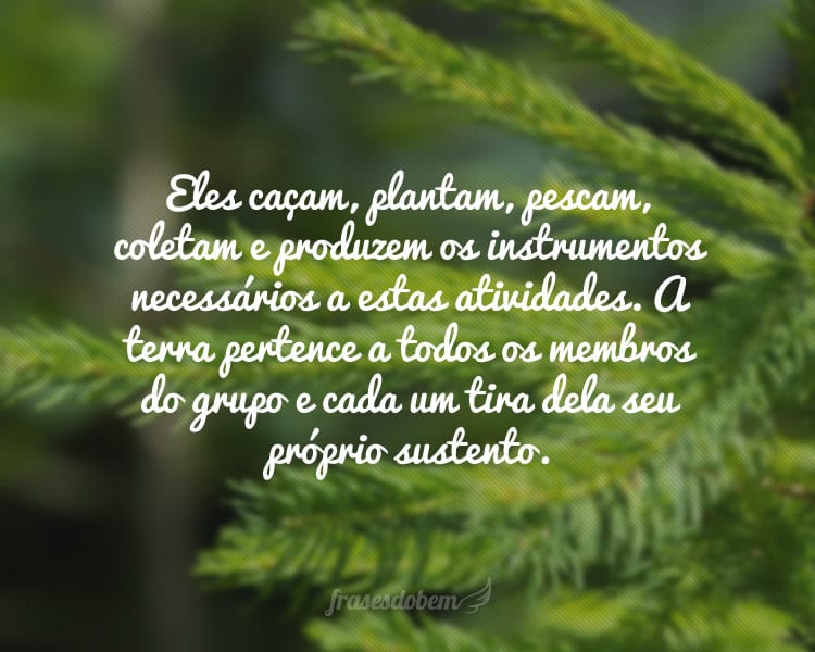 Eles caçam, plantam, pescam, coletam e produzem os instrumentos necessários a estas atividades. A terra pertence a todos os membros do grupo e cada um tira dela seu próprio sustento.