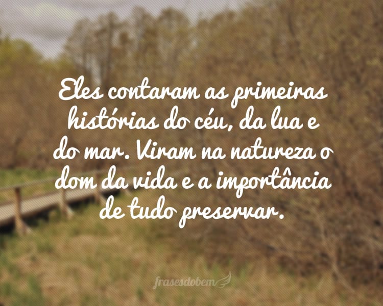 Eles contaram as primeiras histórias do céu, da lua e do mar. Viram na natureza o dom da vida e a importância de tudo preservar.