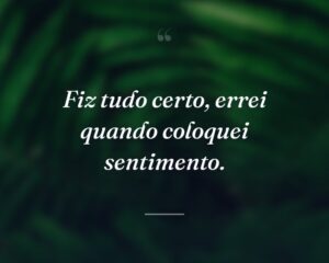Fiz tudo certo, errei quando coloquei sentimento.