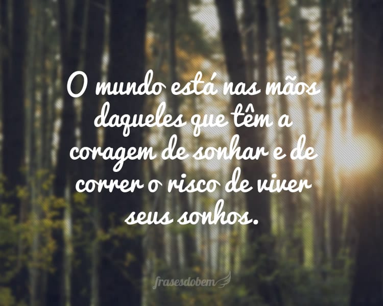 O mundo está nas mãos daqueles que têm a coragem de sonhar e de correr o risco de viver seus sonhos.