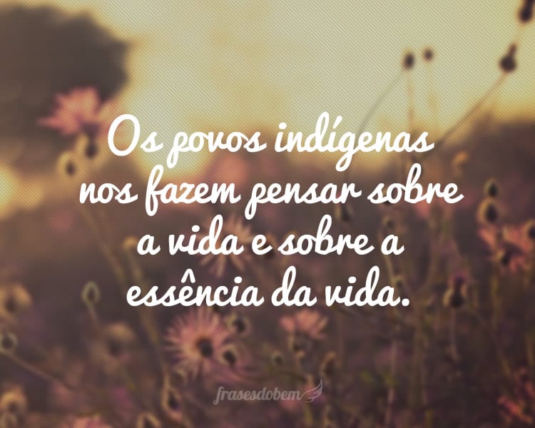 Os povos indígenas nos fazem pensar sobre a vida e sobre a essência da vida.