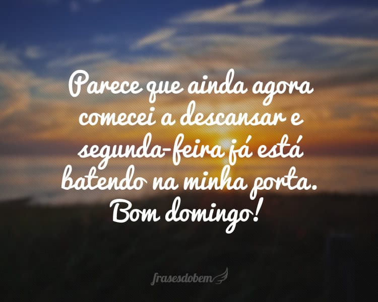 Parece que ainda agora comecei a descansar e segunda-feira já está batendo na minha porta. Bom domingo!