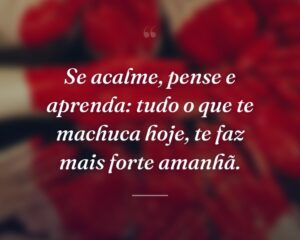 Se acalme, pense e aprenda: tudo o que te machuca hoje, te faz mais forte amanhã.