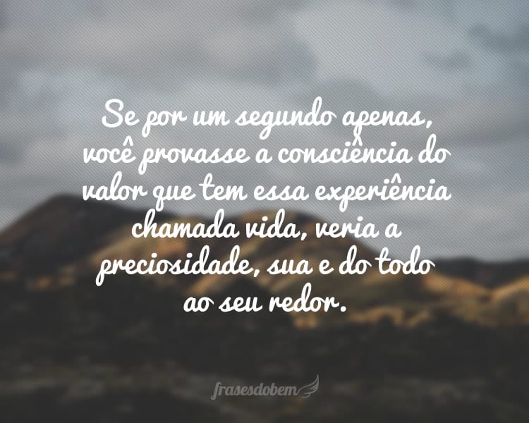 Se por um segundo apenas, você provasse a consciência do valor que tem essa experiência chamada vida, veria a preciosidade, sua e do todo ao seu redor.