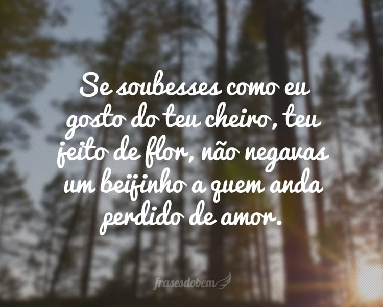 Se soubesses como eu gosto do teu cheiro, teu jeito de flor, não negavas um beijinho a quem anda perdido de amor.