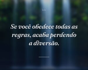 Se você obedece todas as regras, acaba perdendo a diversão.