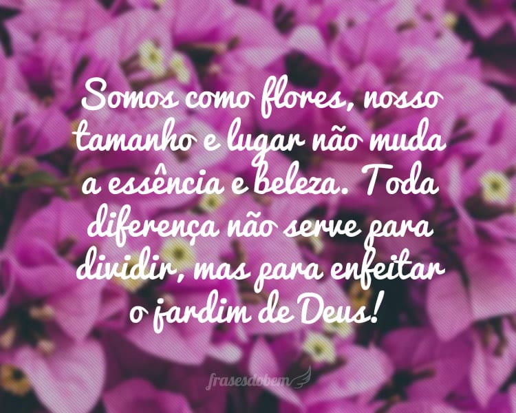 Somos como flores, nosso tamanho e lugar não muda a essência e beleza. Toda diferença não serve para dividir, mas para enfeitar o jardim de Deus!