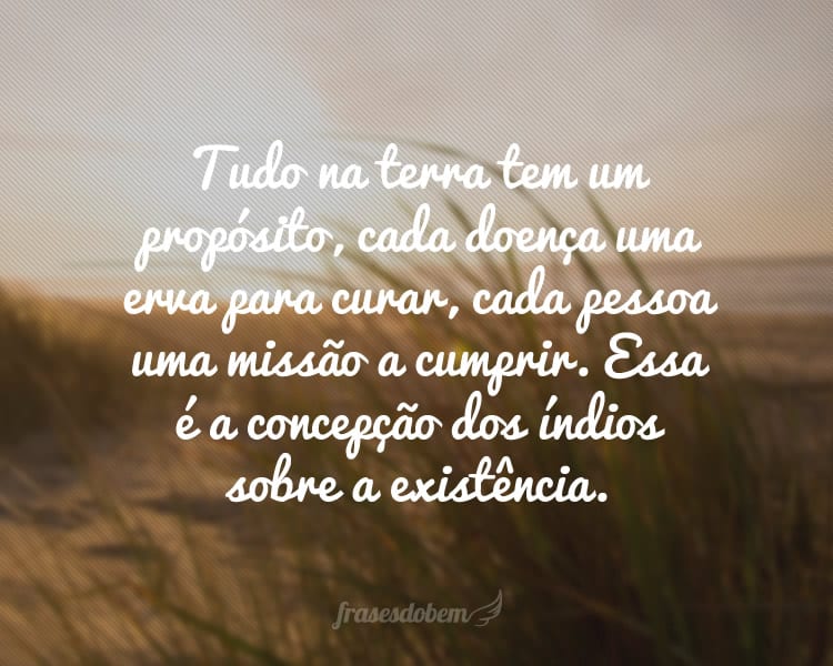 Tudo na terra tem um propósito, cada doença uma erva para curar, cada pessoa uma missão a cumprir. Essa é a concepção dos índios sobre a existência.