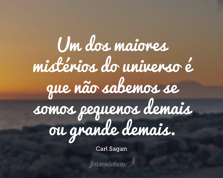 Um dos maiores mistérios do universo é que não sabemos se somos pequenos demais ou grande demais.