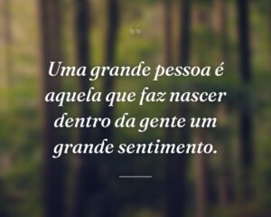 Uma grande pessoa é aquela que faz nascer dentro da gente um grande sentimento.