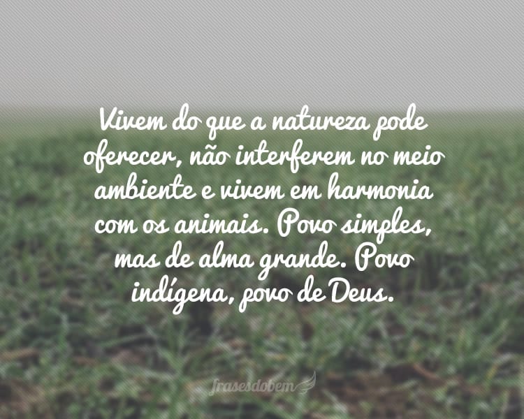 Vivem do que a natureza pode oferecer, não interferem no meio ambiente e vivem em harmonia com os animais. Povo simples, mas de alma grande. Povo indígena, povo de Deus.